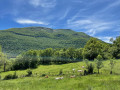 La montagne du Rey