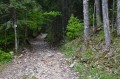 La montée de la combe