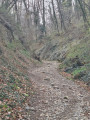La montée de la Gouderie