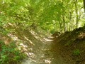 Mesnières-en-Bray - Forêt du Hellet et Bois de Croixdalle et Bailleul