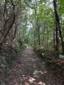la montée vers la chapelle Saint Pancrace la montée vers la chapelle Saint Pancrace