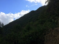 La montée