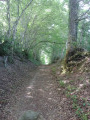 La Montée