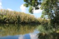 La Moselle