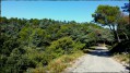 La nature est belle La nature est belle