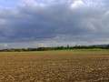 La nature