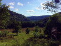 La nature