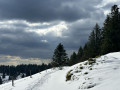La neige en avril