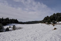 La neige est bien présente au Pla de Rodes ::7::