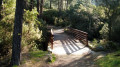 La passerelle en bois La passerelle en bois