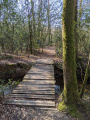 La passerelle sur la Caleuvre