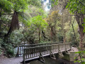 Purakaunui Falls