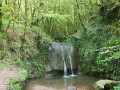 La petite cascade La petite cascade