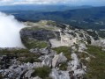 La petite Moucherolle La petite Moucherolle