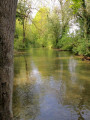 La petite sensee