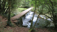 La petite source bien sympathique (petites cascades)