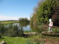 La pièce d'eau