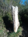 La Pierre Plantée