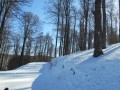 La piste de fond La piste de fond