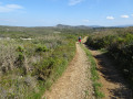 La Combe Paradis