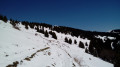 La piste vers le télécabine