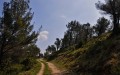 Tour in den Alpilles