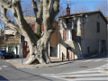 Vallon de la Bérenguière et Tête du Vicaire, à Sainte-Anne d'Évenos