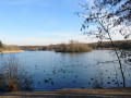 La plage de la forêt - étang du Corra