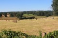 La plaine de la Sédelle près de St Agnant de Versillat La plaine de la Sédelle près de St Agnant de Versillat