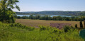 La plaine agricole