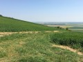 La plaine Champenoise