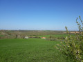 La plaine de la Vendée