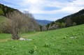 La plaine des Allières à mi-pente