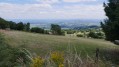La plaine du Roannais depuis le Haut de Sainte Agathe
