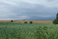 La pluie s'invite a la promenade