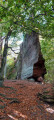 La pointe du Schlossberg