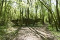 la poudriére de Bois sous Roche la poudriére de Bois sous Roche