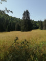 La prairie de GANASSE