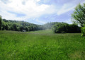 La prairie de Pelandré