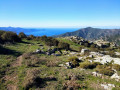La première bergerie