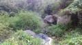 La Ravine Bellevue
