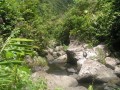 La Ravine du Butor