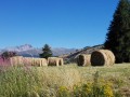 Entre Molines-en-Queyras et Saint-Véran