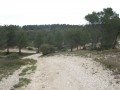 La réserve de la Barben