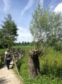 La réserve naturelle de l'Etang Saint-Ladre