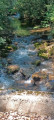 Boucle de la Combe de l'Eau au départ d'Agnières-en-Dévoluy