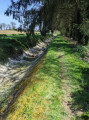 La rigole en amont du lavoir du Bignon