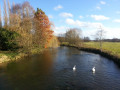 La Risle aux Ponts Gras