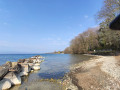 La rive devant le château de Beauregard