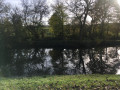 La rive gauche vue de la rive droite